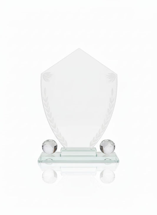 Transparent Shield