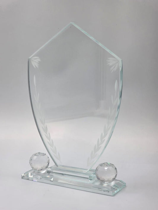 Transparent Shield
